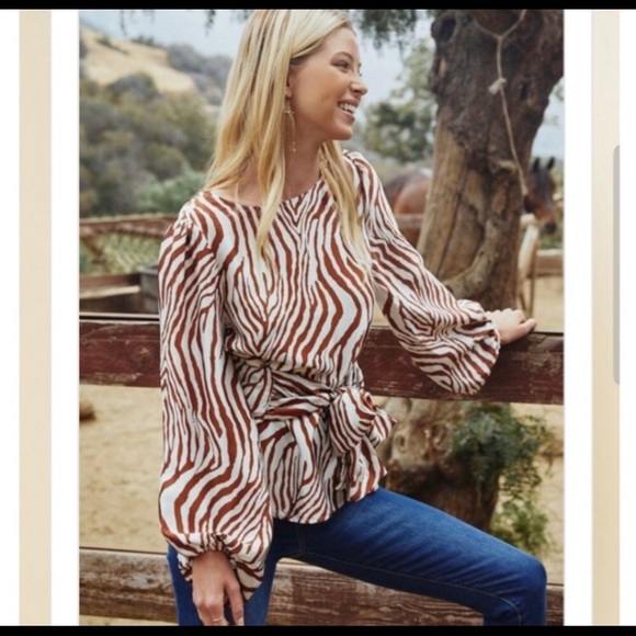 ♥️1 left ♥️Silky zebra blouse - Picture 4 of 5